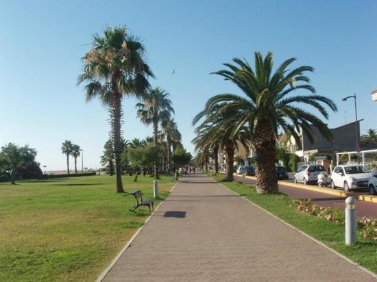 Porto SantʼElpidioLa Conchiglia公寓 外观 照片