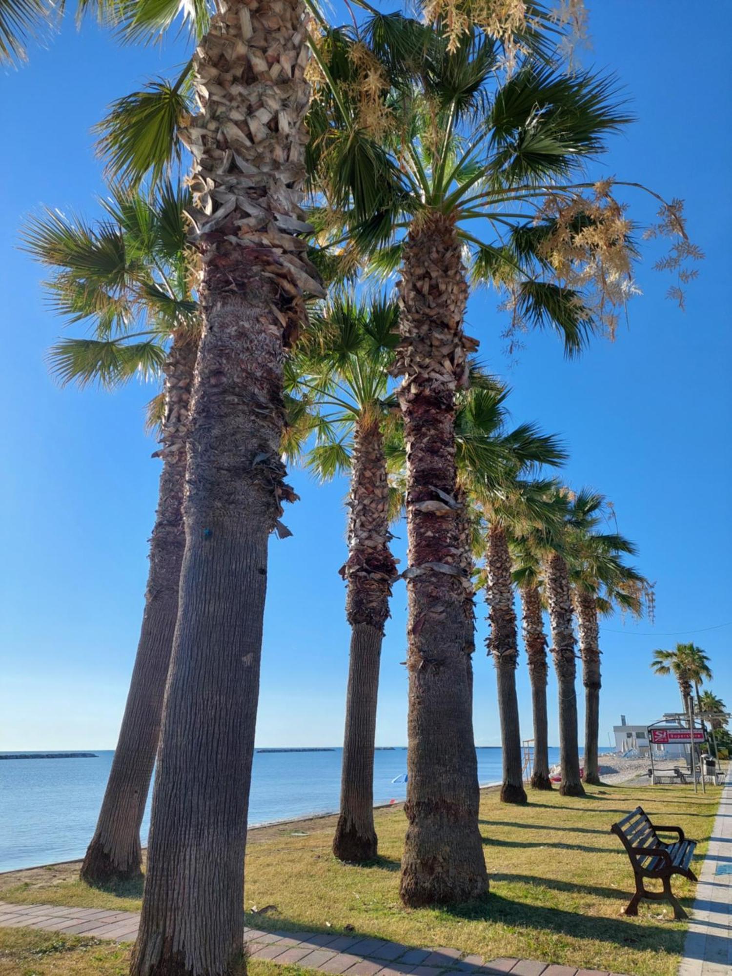 Porto SantʼElpidioLa Conchiglia公寓 外观 照片
